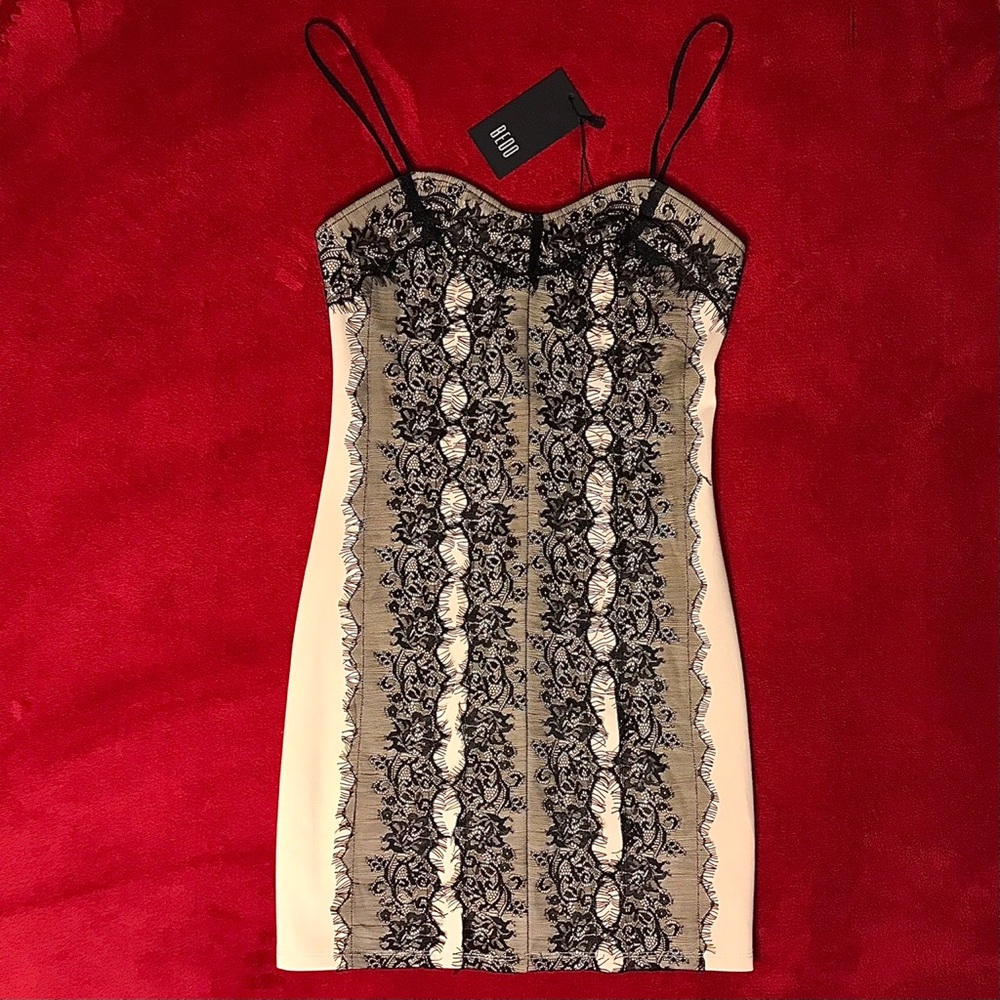 Black Lace Beige Minidress from BEDO
